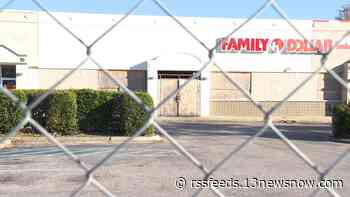 1 year after Family Dollar burns down, Norfolk City Council looks to revitalize shopping center