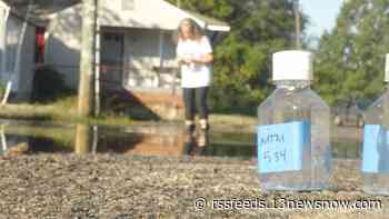 'King Tide' presents unusual opportunity for ODU researchers to study local waterways