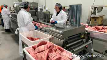 Record beef prices spur $11 million loss for Australia's largest meat processor