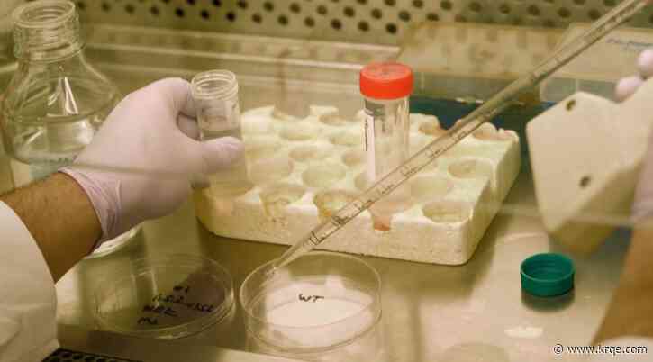 Albuquerque scientist receives grant to study flu cells