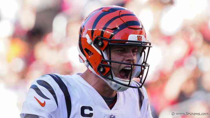 Bengals hand 49ers third straight loss as they push own winning streak to three games