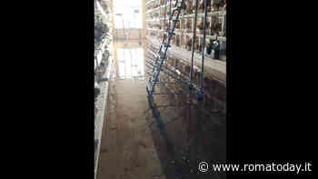 Loculi allagati al cimitero Flaminio. E i parenti non riescono a portare i fiori ai loro cari