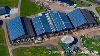 Photovoltaik: So setzt China die deutsche Solarbranche unter Druck