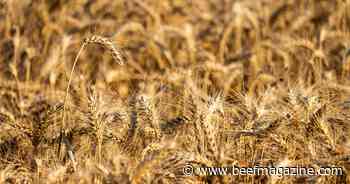 Farm Progress America, October 30, 2023