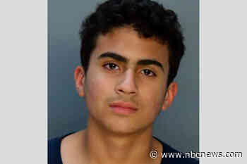 13-year-old who allegedly stabbed mother to death in front of new baby to be charged as an adult