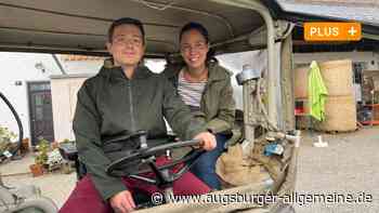 Tagsüber Hausarzt, abends Landwirt: Manuel Förg erfüllt sich einen Traum