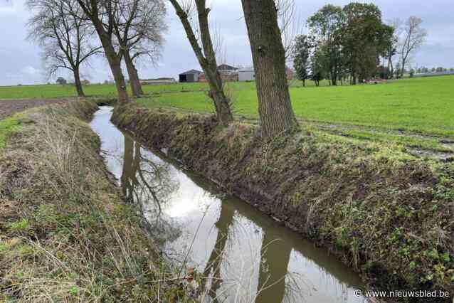 Ingrijpende maatregelen om mazoutvervuiling op beken aan te pakken: “indammen en afgraven van vegetatie”