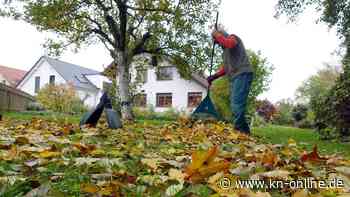 Garten im November: Diese Aufgaben stehen jetzt an