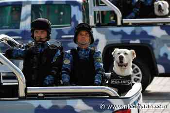 Au Turkménistan, le "chien le plus courageux de l'année" appartient aux services secrets