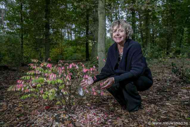 38% overledenen op natuurbegraafplaatsen in Zoersel komt van buiten gemeente, wat aantoont dat er elders tekort zijn