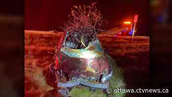 Four cars hit moose on Ontario highway