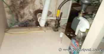 Woman says flat infested with black mould is a 'living hell'