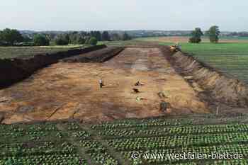 Seltener Fund in Bielefeld: Urnengräber auf L712-Trasse entdeckt