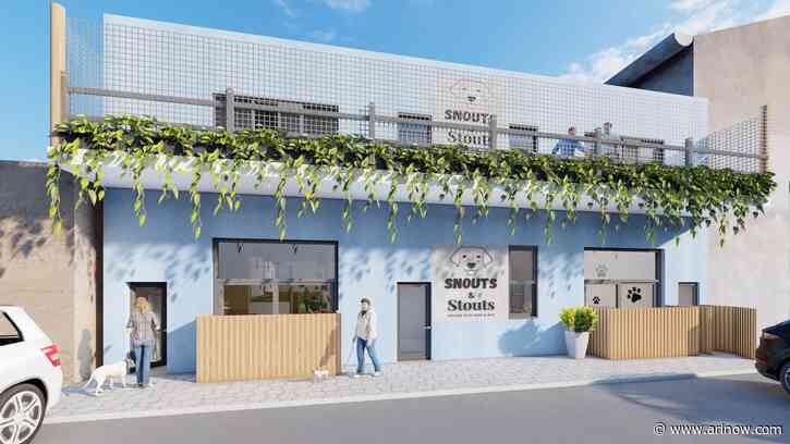 Snouts & Stouts indoor dog park and bar set to open next month in Green Valley