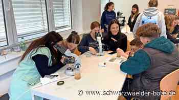 Spannender Biologie-Unterricht: Wie sauber sind Nagolds Flüsse?