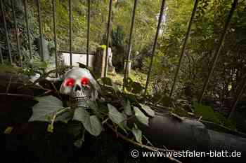 Liegt der gruseligste Ort Deutschlands mitten in OWL?