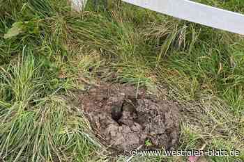 Vlotho: Schilderklau in Exter – Sportler erstatten Anzeige