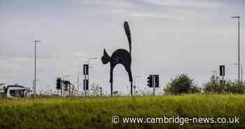 Iconic Black Cat statue on roundabout near St Neots to be moved for vital upgrade