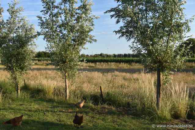 Buurtbewoners krijgen doodsbedreigingen na verplichte sluiting clubhuis padelclub: “Dit moet echt stoppen”