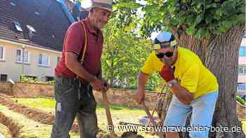 Kirchenlinde in Haiterbach: Im Jahr 1816 aus Dankbarkeit gepflanzt