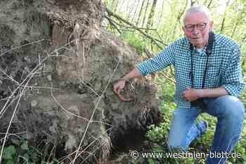 Der Heimatliebhaber aus Herford