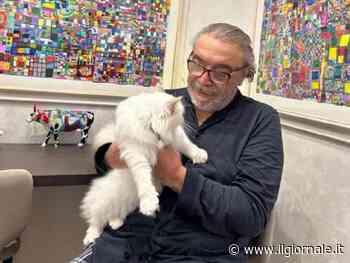 "Ridateci Hiro, siamo devastati". Le lacrime della figlia di Nino Frassica