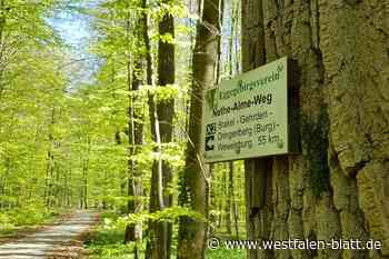 Nationalpark Eggegebirge: Bündnis plant Bürgerbegehren