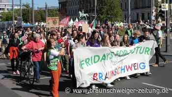 „Fridays for Future“ Braunschweig solidarisch mit Hamas-Opfern