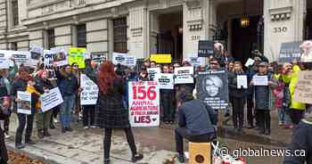 Court battle over Ontario ‘Ag-Gag law’ banning undercover farm investigations underway