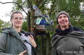 Klimaaktivisten harren in Bäumen aus