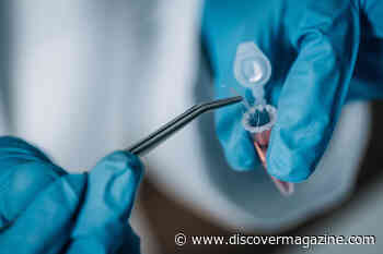 The Evolution of DNA Forensics and Its Impact on Solving Crimes
