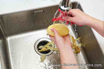 Going Down the Drain: How Much Food Is Wasted in the U.S.?