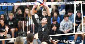 Girls volleyball: McMillen, St. Francis power past Sycamore in sectional semifinal
