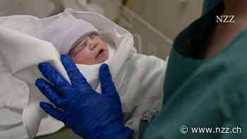 KOLUMNE - Zum Glück lassen sich unterschiedliche Charaktere und Begabungen nicht einebnen