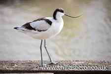 RSPB launches ‘youth revolution’