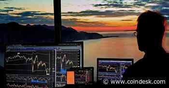 Crypto Market Breadth Widens, Signals Bullish Momentum
