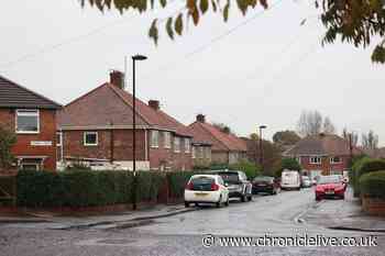 Five dogs seized after Wallsend dog attack not believed to be XL Bullies