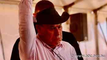 'Today we belong': 30-year struggle for native title rights celebrated in remote WA