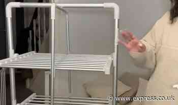 ‘I spent £110 on this energy-bill-saving clothes dryer - it costs pennies to run!’