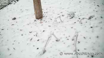 Chicago Halloween forecast: ‘Bursts' of snow, squalls and wind chills in the 20s