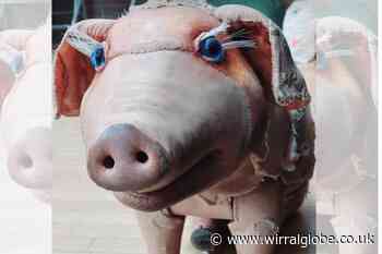 West Kirby Musical Theatre Company's 'Betty Blue Eyes'