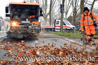 Die bunten Blätter fallen: ELW-Teams im Großeinsatz