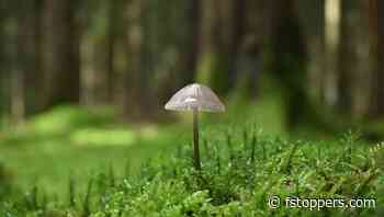 The Art of Noticing Potential Photos