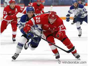 Toms brings experience to Spitfires' defence after trade from Greyhounds