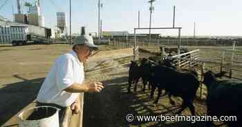 2024 Cattle Feeders Hall of Fame honorees announced