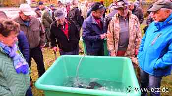 Fotos: Buntes Treiben zum Fischerfest in Wolfersdorf