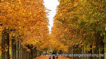 Der November beginnt teils stürmisch