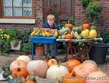 Young Willaston farmer growing and selling his own pumpkins