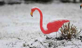 A light sprinkling of snow in some Ontario communities brings first signs of winter