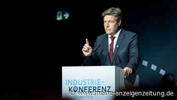 Habecks Kampf um einen Industriestrompreis - FDP sagt Nein